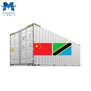 10 anni di consolidamento del carico Container spedizione cina a Dar es Salaam Tanzania porta a porta agente