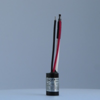 Générateur d'ions négatifs certifié TUV CE CQC, module ioniseur d'anions, sèche-cheveux, lisseur de cheveux, 100-250VAC, taille compacte