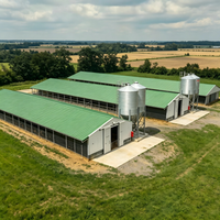 Poulailler moderne en structure acier à grande portée, anti-corrosion, avec ventilation intégrée, personnalisable pour l'élevage de volailles