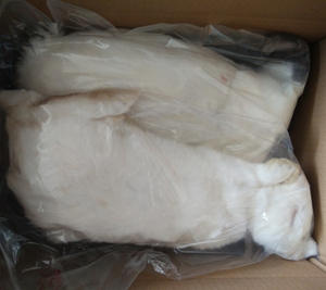 Conejos congelados puros y llenos de nutrientes para mascotas Carnívoras - Product Image 6