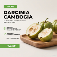 Les capsules ODM/OEM de Garcinia Cambogia suppriment l'appétit gestion du poids perte de poids à base de plantes amincissant la désintoxication des graisses