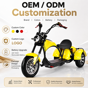 Scooter à trois roues 800W 60V avec batterie amovible pour adultes Q26, comparé aux scooters traditionnels à deux roues, le Stru - Product Image 6