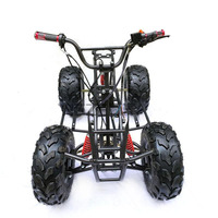 125cc 150cc 200cc 250cc Go Kart Karting ATV UTV Quad Dune Buggy atvutv Corps Cadre Châssis Pièces Avec Roues De 8 Pouces
