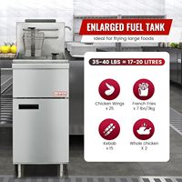 Friteuse à gaz commerciale en acier inoxydable à 3 brûleurs 90,000 BTU/h 200 °F-400 °F Thermostat réglable Capacité de 40 lb pour