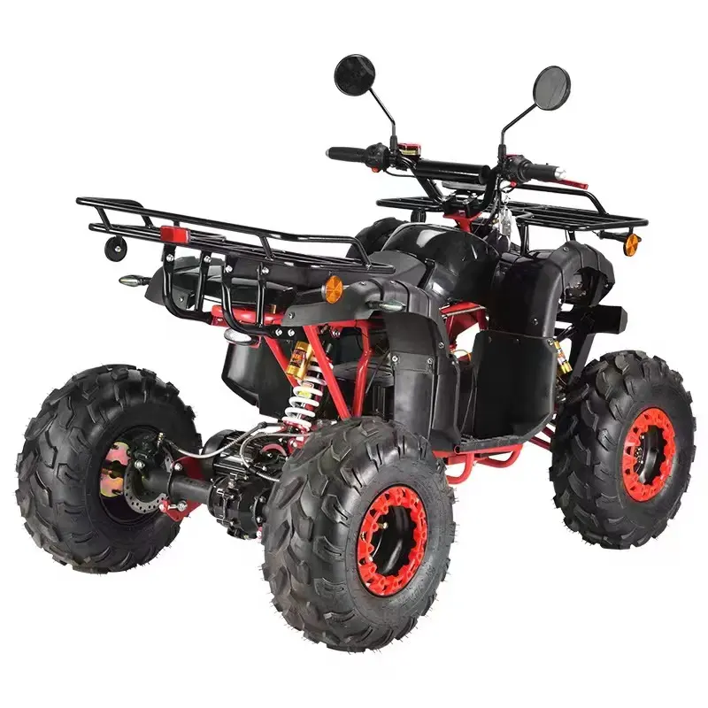 Personalizzazione gratuita ATV 800w motore a quattro ruote motrici 60 v55ah ATV elettrico al litio in vendita