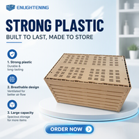 Caisse de transport pliable en plastique pour pépinière, motif grain de bois, ventilée et empilable