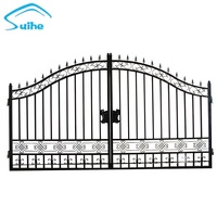 Conception de porte de luxe en fer forgé enduit de poudre galvanisée