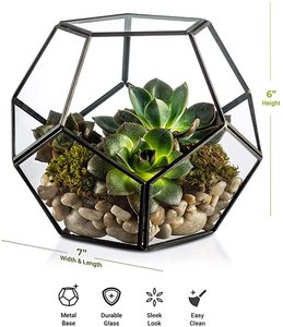 Terrarium en verre géométrique pour plantes aériennes de jardin, décoration de <span class=keywords><strong>rebord</strong></span> de <span class=keywords><strong>fenêtre</strong></span>, étagères, support pour plantes succulentes, cactus, fougères, pot de fleurs - Product Image 2