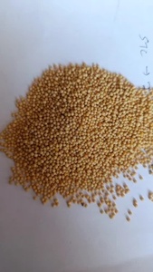 Graines de moutarde jaunes sèches de haute qualité, graines brutes naturelles, aliments sains, graines de moutarde pour l'agriculture et la consommation - Product Image 2