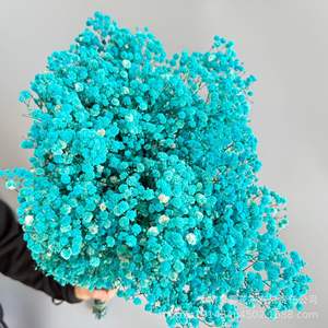 Flores Preservadas de Gypsophila Branca Secas 60cm de Altura para Artesanato DIY, Ação de Graças, Dia dos Namorados, Formatura, Dia das Mães - Product Image 5