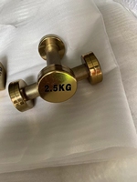 Noyau en acier fini chromé Snbo 20 35 50 100 150 lb haltère Lbs haltères à extrémité ronde pour Gym Fitness