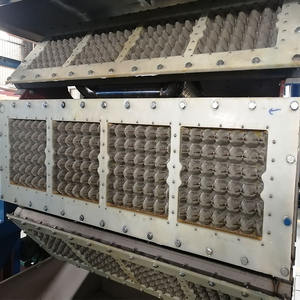 Kertas Pulp Forming tatakan pembuat telur mesin lini produksi dengan cetakan - Product Image 5