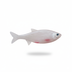 Stampo per esche in plastica morbida di alta qualità per esche realistiche da pesca al black <span class=keywords><strong>bass</strong></span>, stampo a iniezione personalizzato - Product Image 6