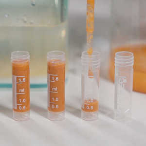 Nuovo Arrivo: Incubatrice Fai-da-Te per Uova di Artemia, Kit di Allevamento per Acquari - Product Image 4