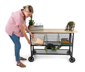 Retail Cart Wheels Malla Metálica Expandida para Estantería Hierro y <span class=keywords><strong>Roble</strong></span>-Negro - Product Image 2