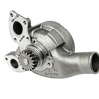Repuestos de Bomba de Agua de Hierro Fundido de Alta Calidad para Motores Diésel PERKINS 1006, 3771004A, 4131E012, 4131E011, 4131E103