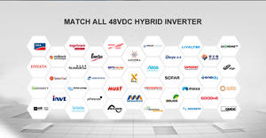 Batteria al Litio Impilabile NIKISUN New Energy 48V 200Ah con BMS IP65 per Uso Domestico 10kWh - Product Image 4