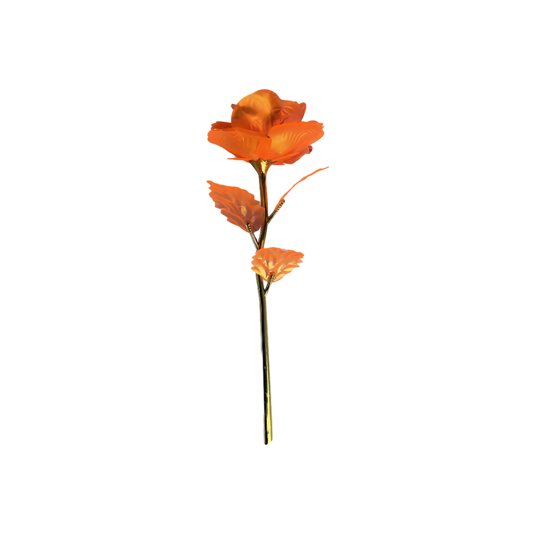 Orange (Macron)