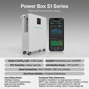 Sistema de Batería Doméstica Inteligente LiFePO4 con Monitoreo, <span class=keywords><strong>Precio</strong></span> Mayorista, CAN 51.2V 280AH-314AH Todo en Uno para Hogares Ecológicos - Product Image 1