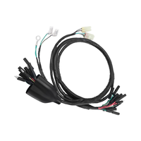 Harnais de câblage imperméable de haute qualité personnalisé pour moto TRX200 TRX200SX 1986-1988 OEM 32100-HB3-000 Électronique