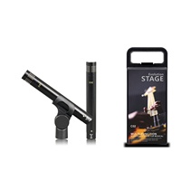 Microphone stylo professionnel C02 pour voix, instrument acoustique Hi-Fi, micro à condensateur pour batterie et musique