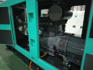 200Kw 250kva im lặng Máy phát điện diesel thiết lập với tự động điều chỉnh điện áp 240V/380V 50Hz tần số đa năng sử dụng - Product Image 3