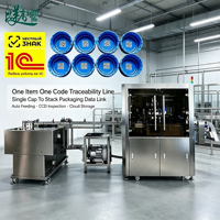 Machine de marquage laser UV haute vitesse pour bouchons de bouteilles de boissons, fonctionnement autonome, stockage des données, contrôle strict de la qualité du processus global