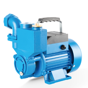 <span class=keywords><strong>Pompe</strong></span> à eau submersible électrique monophasée DBZ en acier inoxydable, industrielle, auto-amorçante, à surpression, vente en gros à prix réduit - Product Image 6