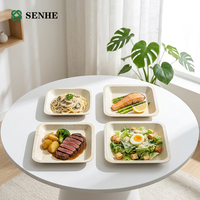 Nouvelles assiettes jetables en bois de peuplier biodégradables, prix usine, pour les marchés des États-Unis, d'Asie du Sud-Est et d'Europe