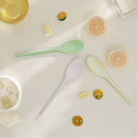 Ensemble de couverts de mariage Greenday, vaisselle de fête, service de traiteur, ustensiles alimentaires, table à manger, vaisselle jetable pour la maison, cuillère en CPLA