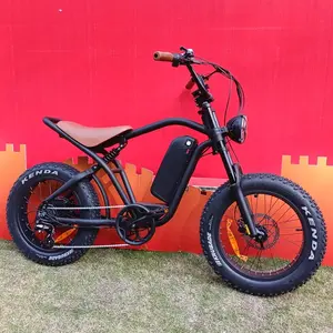 750W 20 Inch Fat Tire Retro Electric Bike For Sale