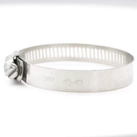 Collier de serrage pour tuyau d'irrigation en acier inoxydable 304, plage de serrage réglable de 20 à 100 mm pour le fixation de tuyaux d'irrigation goutte à goutte