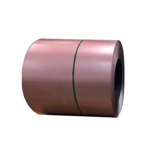 Bobine d'acier galvanisée prépeinte PPGI PPGL Bobine d'acier prépeinte revêtue de couleur - Product Image 2