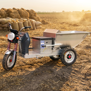 Tricycle électrique à marchandises, 3 roues, cadre en acier, pneus pneumatiques, usage agricole, 48V, neuf - Product Image 1