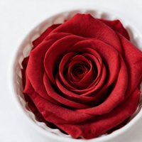 Vente en gros de têtes de roses réelles préservées de 4-5 cm, 8 pièces par boîte, rose éternelle multicolores pour la fabrication de cadeaux floraux faits à la main