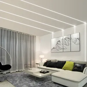 Nhà hiện đại trang trí chảy nước tuyến tính ánh sáng 2835 LED Strip đèn thông minh Luces 80 ánh sáng dây 120 strisce LED đồng