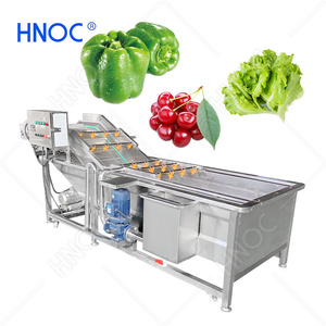 HNOC Machine à laver les fruits de mer à bulles d'air pour nettoyer les légumes Eddy avec ceinture - Product Image 1