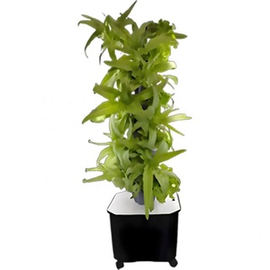 Système de jardinage aéroponique en tour à 8 niveaux et 40 trous - Équipement de culture hydroponique pour fleurs/fruits/légumes - Product Image 4