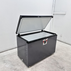 Congelatore a pozzetto da 260L con design compatto per esposizione di prodotti surgelati in piccoli negozi e boutique - Product Image 1