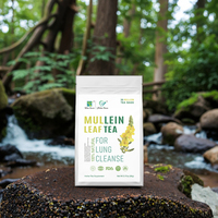 Sachets de tisane de feuilles de molène de qualité supérieure, 30 unités, pour le soutien de la santé respiratoire