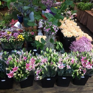 Boutique de fleurs de pépinière seau à fleurs sèches <span class=keywords><strong>en</strong></span> eau profonde seau à fleurs <span class=keywords><strong>en</strong></span> plastique pour le réveil seau à tournesols - Product Image 4