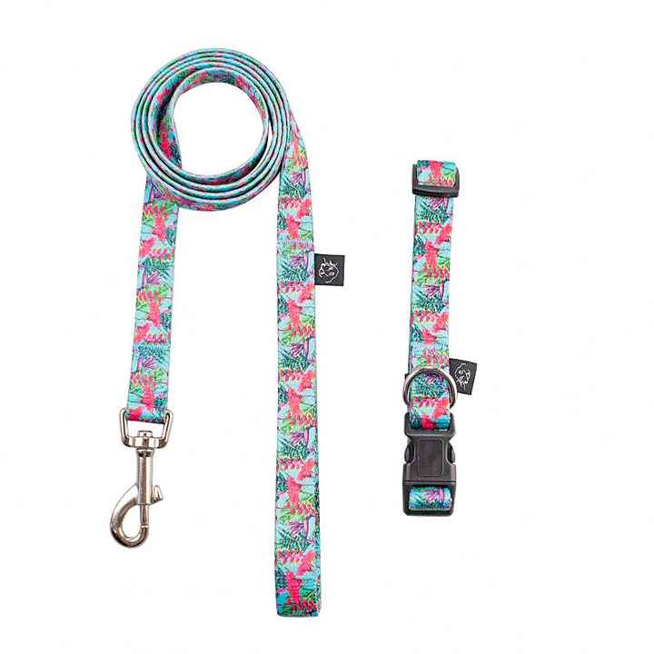 Wholesale Pet Traction Rope, Nylon Dog Leashes Fur Decoration Explosion