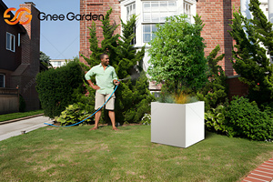 Macetas Cuadradas de Vidrio Resistentes para Plantas, Jardinera para Uso en Interiores y Exteriores - Product Image 4