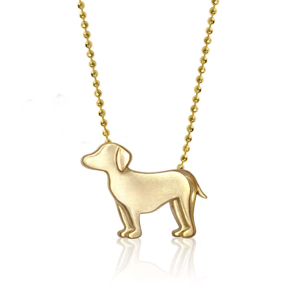 Cachorro de Labrador-dorado