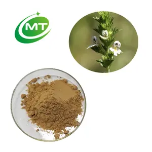100% Pure Natural Organic Hot Sale Eyebright Herb Extract Powder