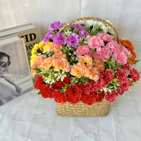 Bunga Carnation Kecil 10 Tangkai untuk Dekorasi Rumah, Acara, Pesta, Bunga Artificial