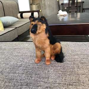 आभूषण कृत्रिम पशु मॉडल शिल्प पालतू खिलौने कमरे में रहने वाले जर्मन शेफर्ड घर सजावट बैठे यथार्थवादी कुत्ते - Product Image 2