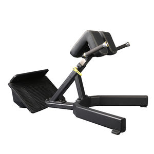 Chaise romaine <span class=keywords><strong>pour</strong></span> exercices <span class=keywords><strong>d</strong></span>'extension dorsale inversée, bancs <span class=keywords><strong>d</strong></span>'extension dorsale à 45 degrés - Product Image 1