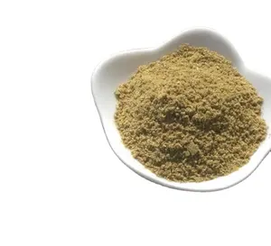 100% pure and clean fennel Food grade Grinding Fennel Seed powder for spice