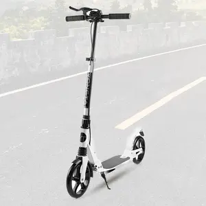 China Supplier Foot Scooter Foldable Pedal Power Painting Aluminum Handlebar Kick Scooters for Adults